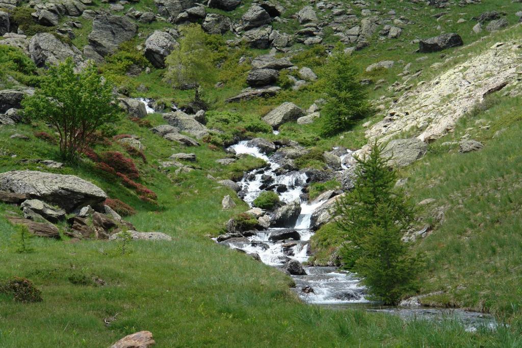 Le Relais Des Vaudois Ξενοδοχείο Freissinieres Εξωτερικό φωτογραφία